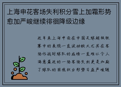 上海申花客场失利积分雪上加霜形势愈加严峻继续徘徊降级边缘